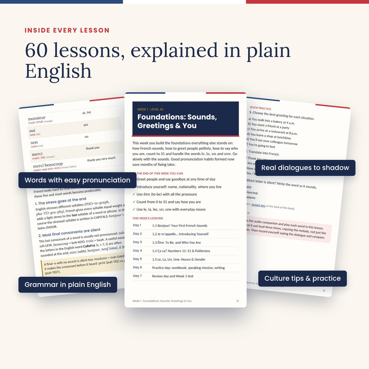 French in 90 Days (Full Course + Tests + Flashcards + Extras)